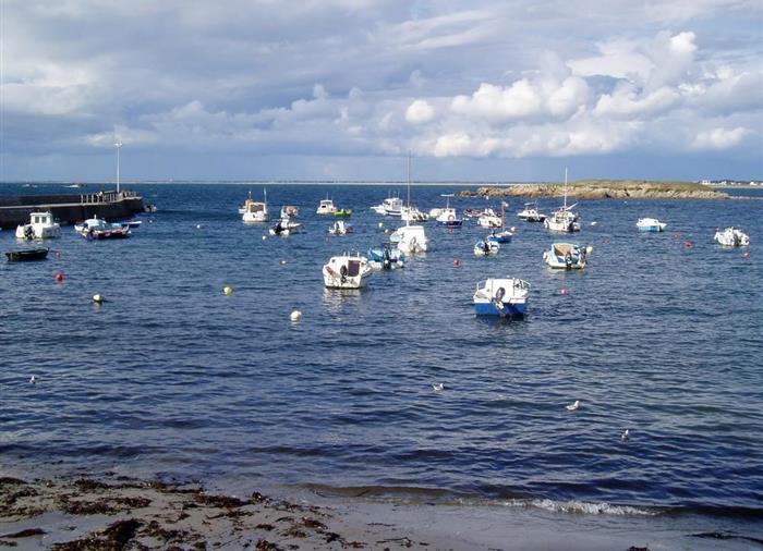 Portivy