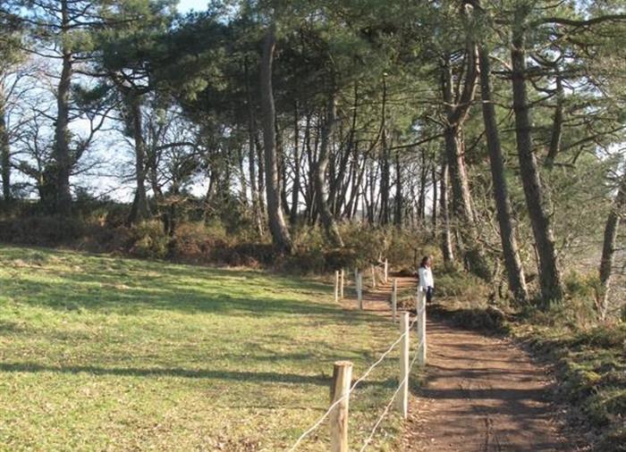 Sentier qui part de St Goustan et qui arrive au port du Bono