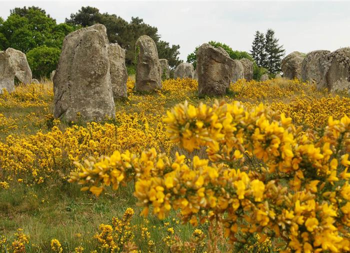 Carnac et ses alignements