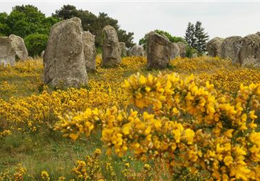 Carnac et ses alignements